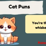 Cat Puns