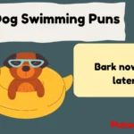 Dog Swimming Puns