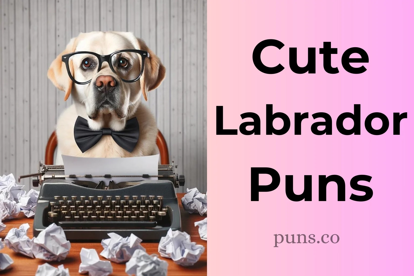 Labrador Puns