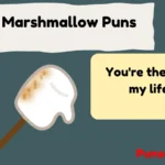 Marshmallow Puns
