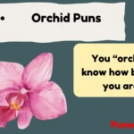 Orchid Puns