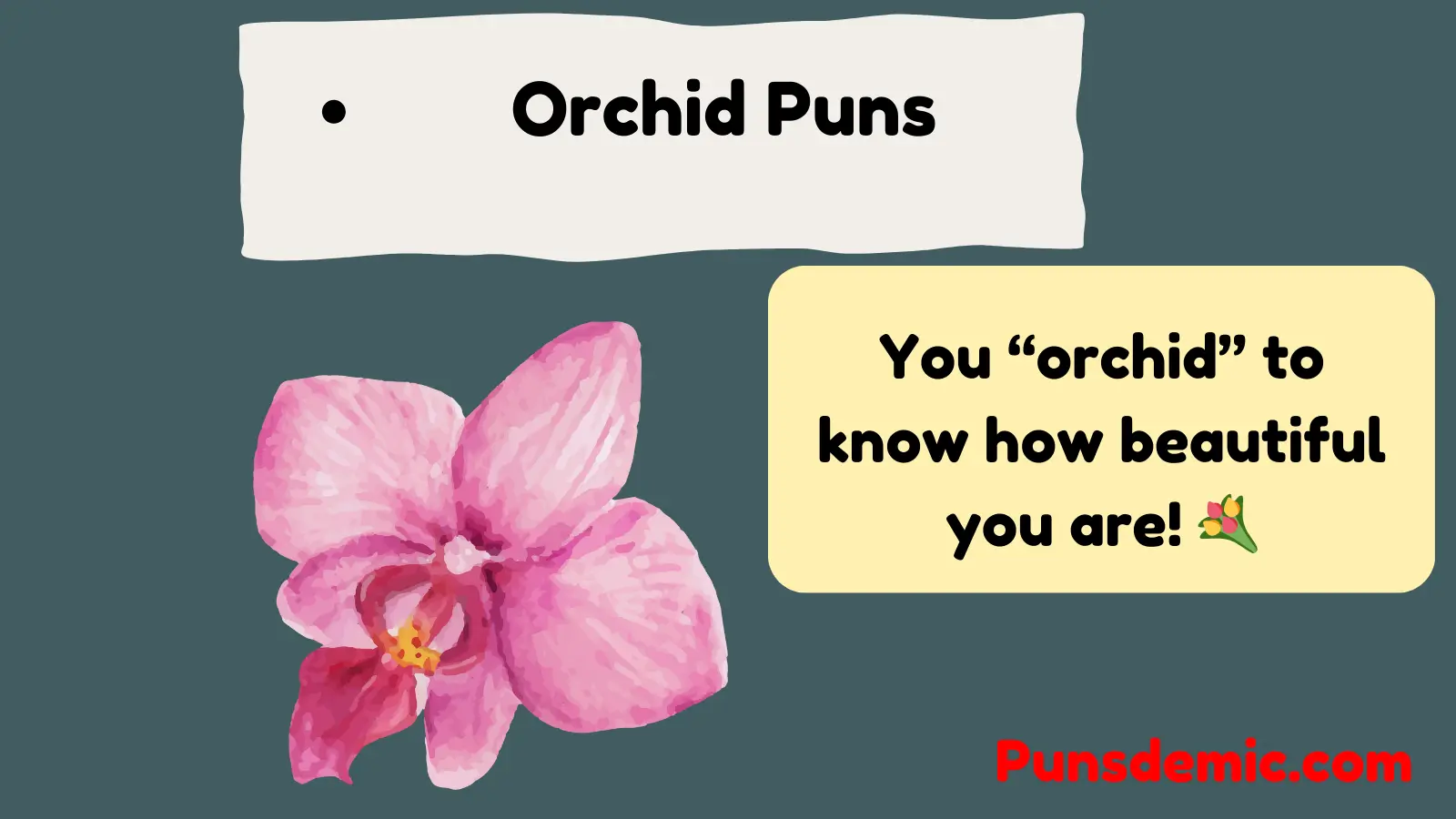Orchid Puns