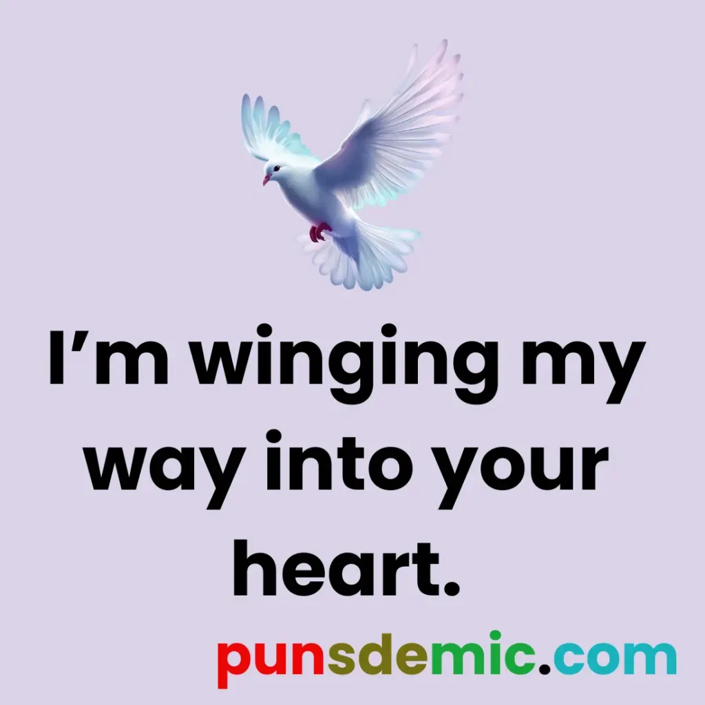 Pigeon Puns 
