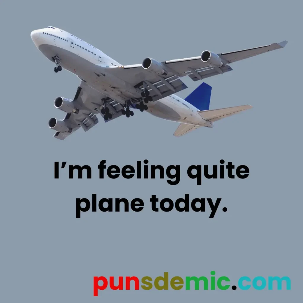 Airplane Puns