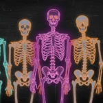 Anatomy Puns