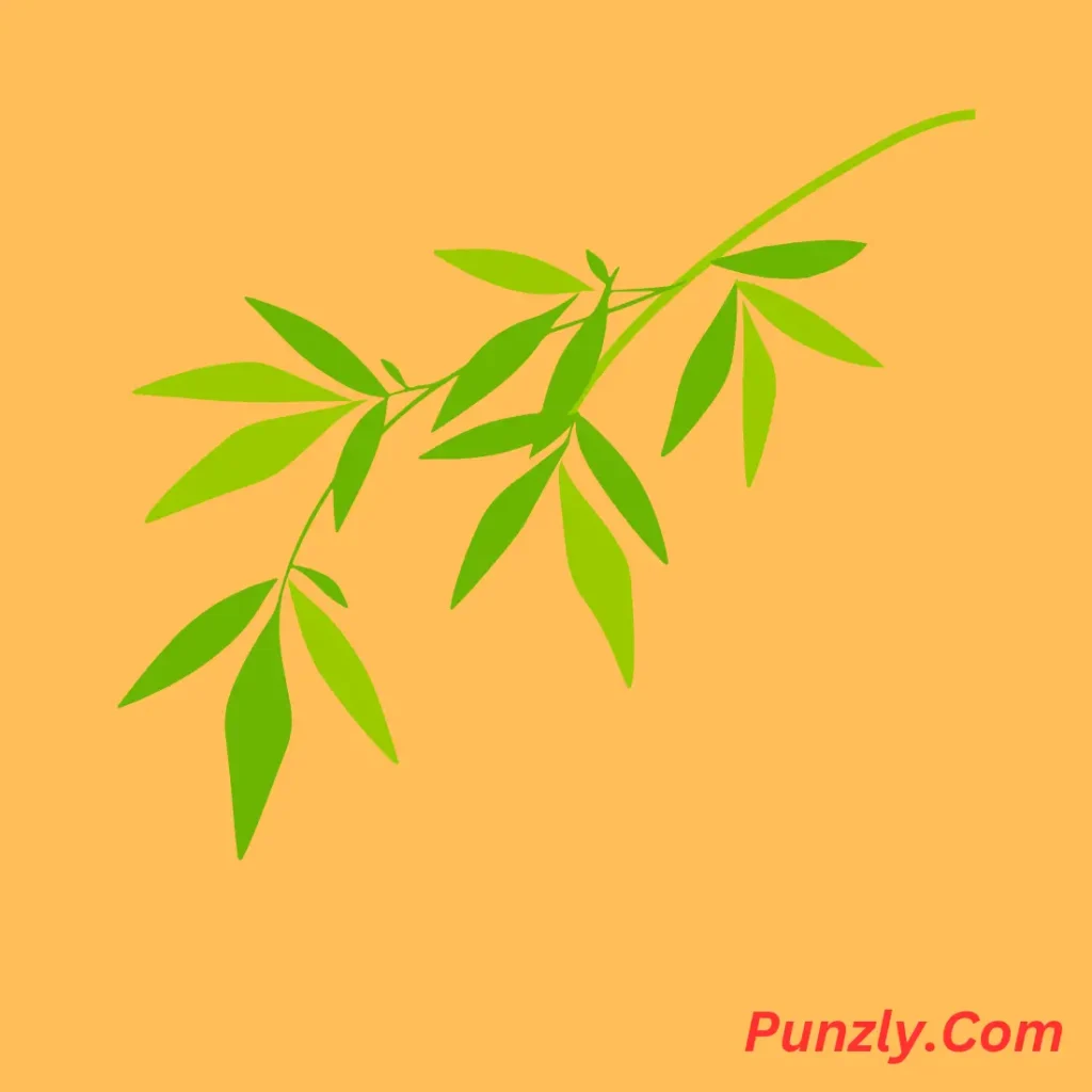 Bamboo in Everyday Life Puns