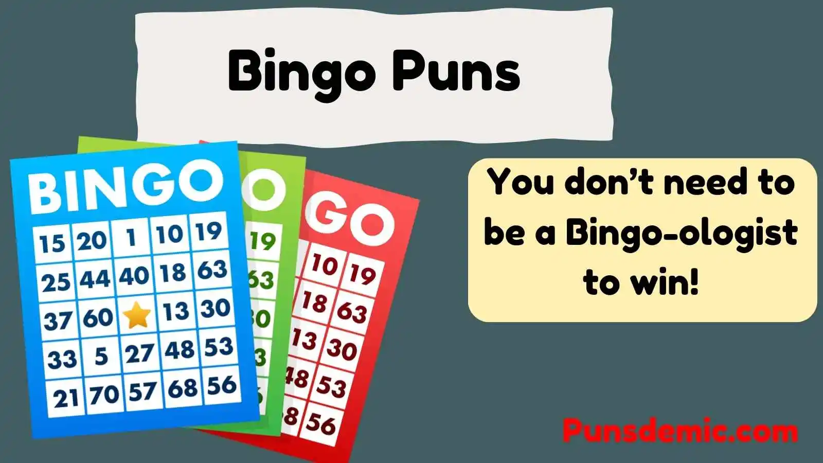 Bingo Puns