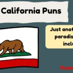 California Puns