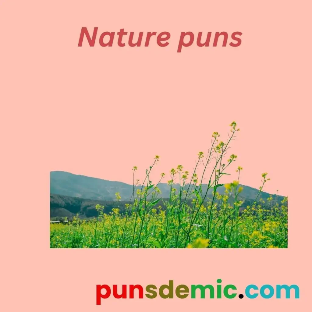 camping puns