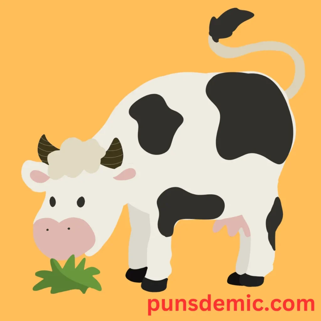 Cow-tastic Puns