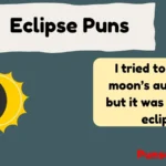 Eclipse Puns