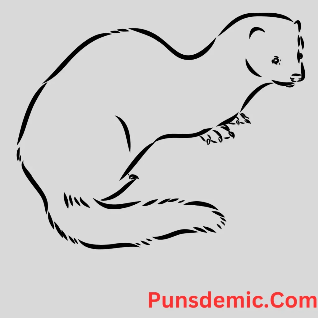 Ferret Puns for a Laugh-a-Minute