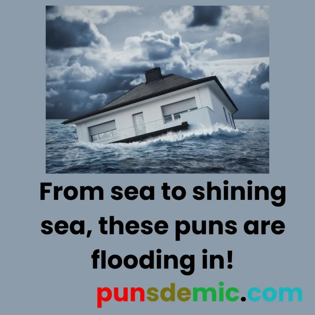 Flood Edition