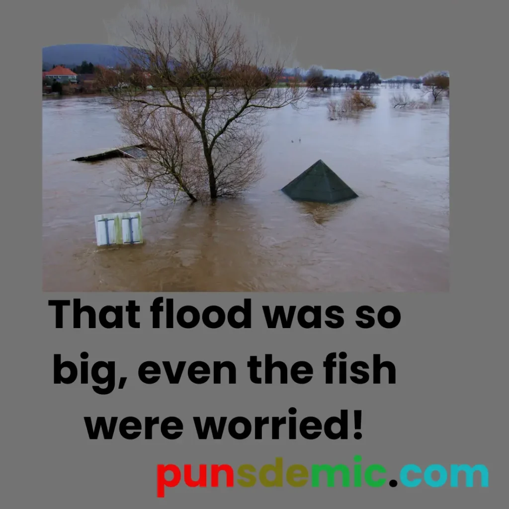 Hilarious Flood