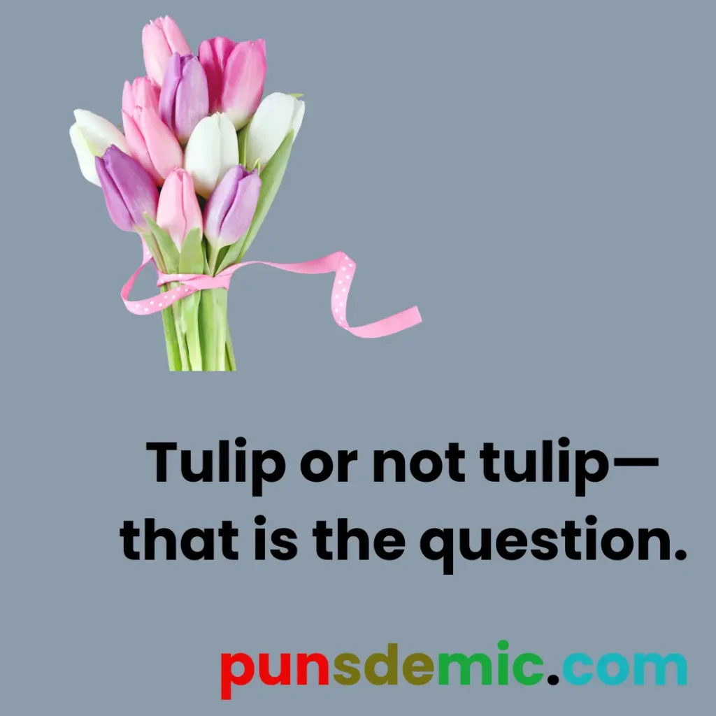 Funny Tulip