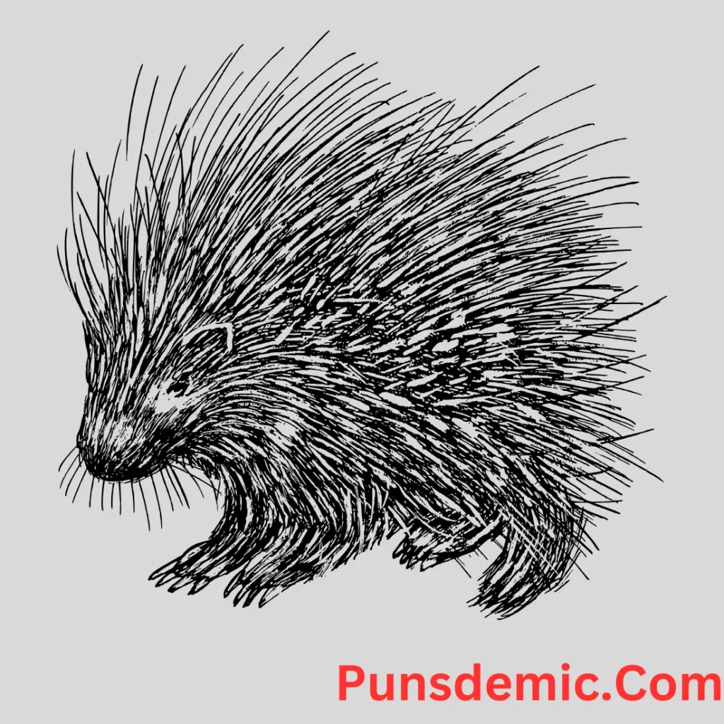 General Porcupine Puns
