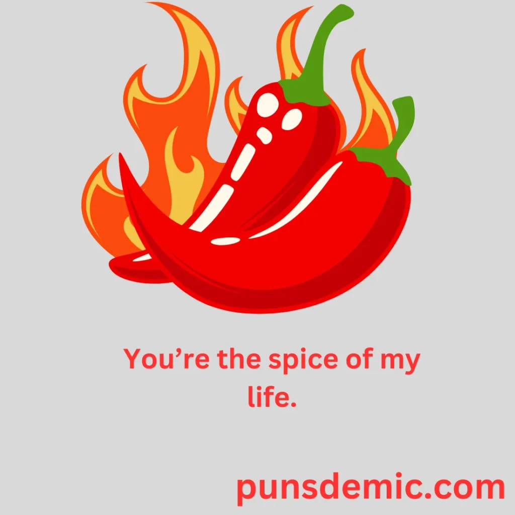 Hot & Spicy Puns