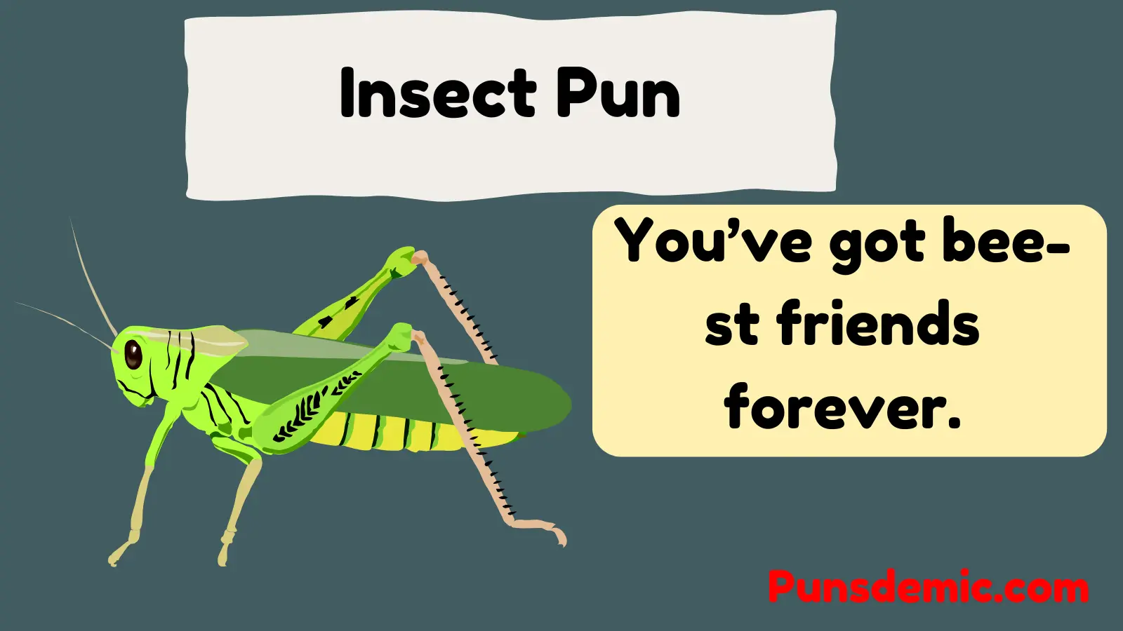 Insect Pun