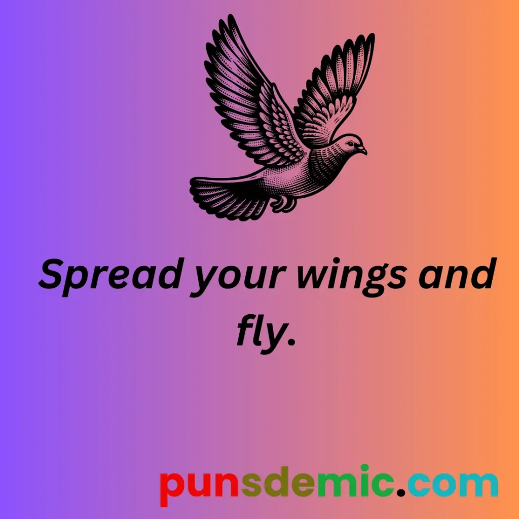 Inspirational Pigeon