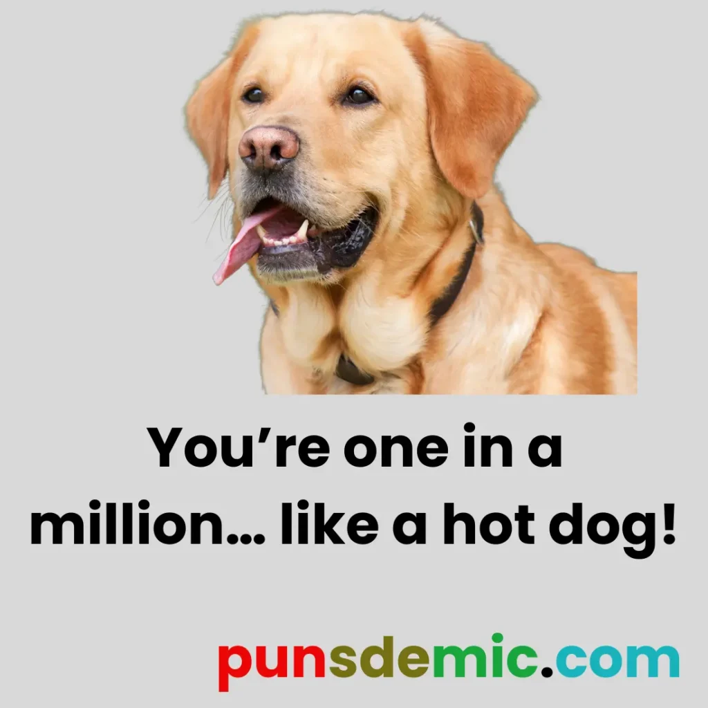 Labrador and Food Puns