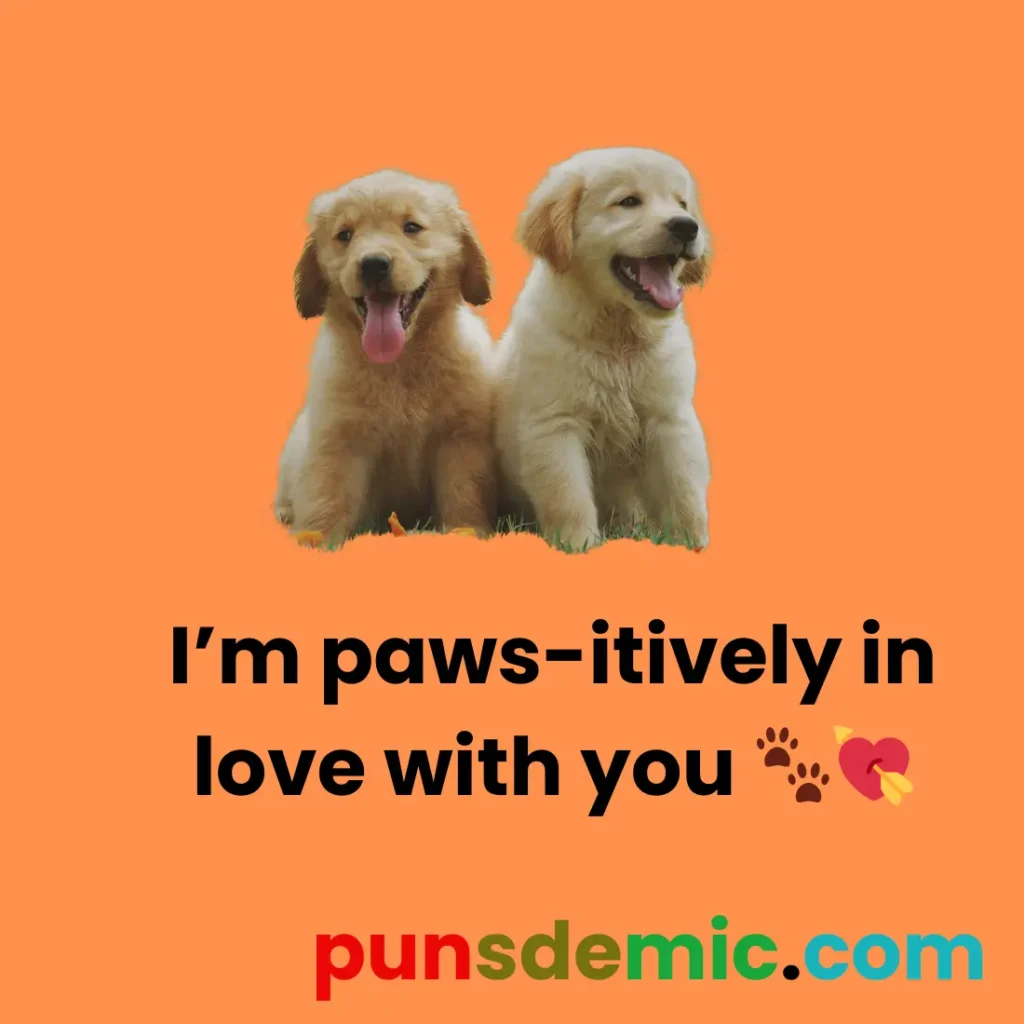  Labrador and Love Puns