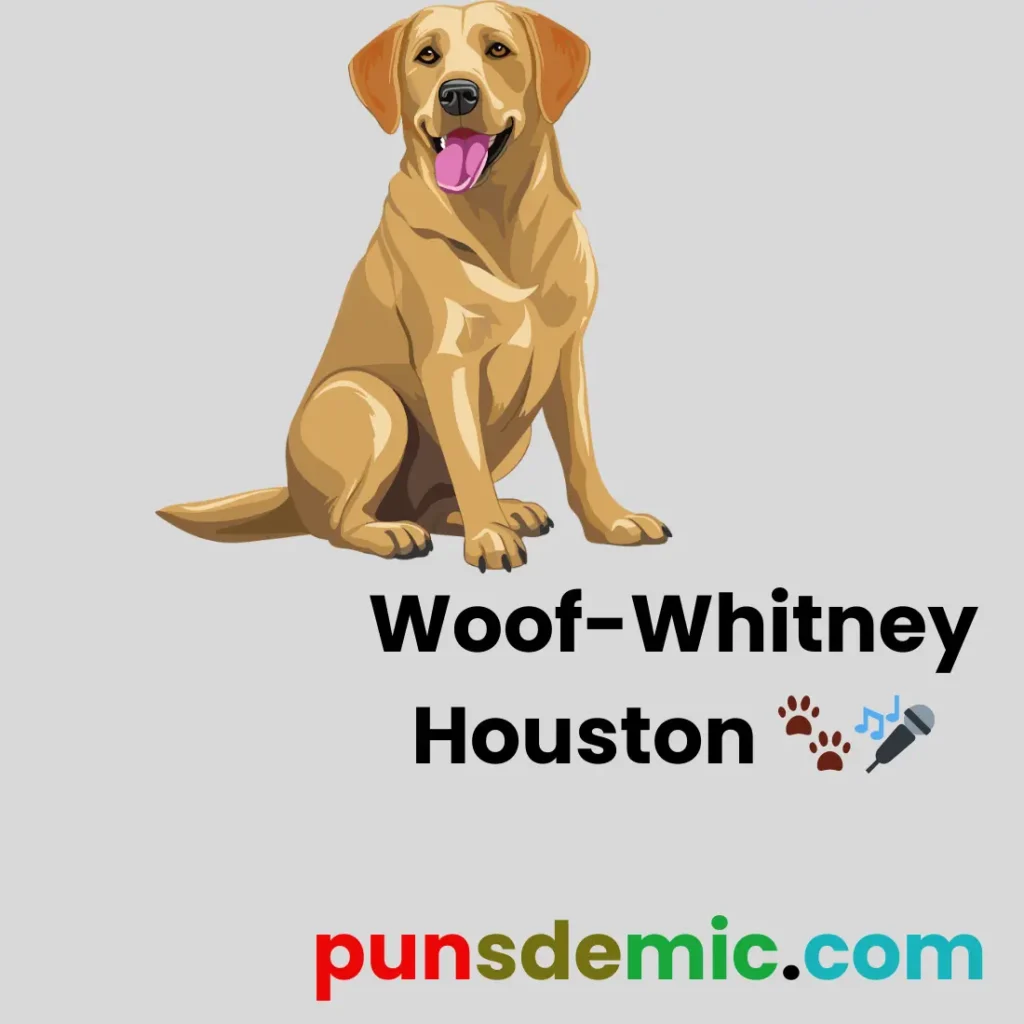 Woof-Whitney Houston πΎπ€