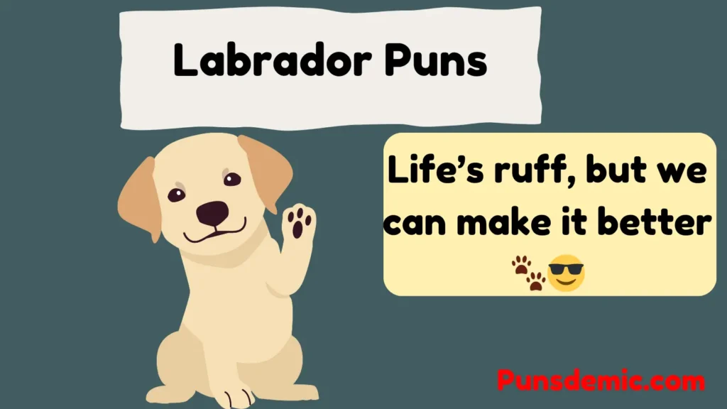Labrador Puns