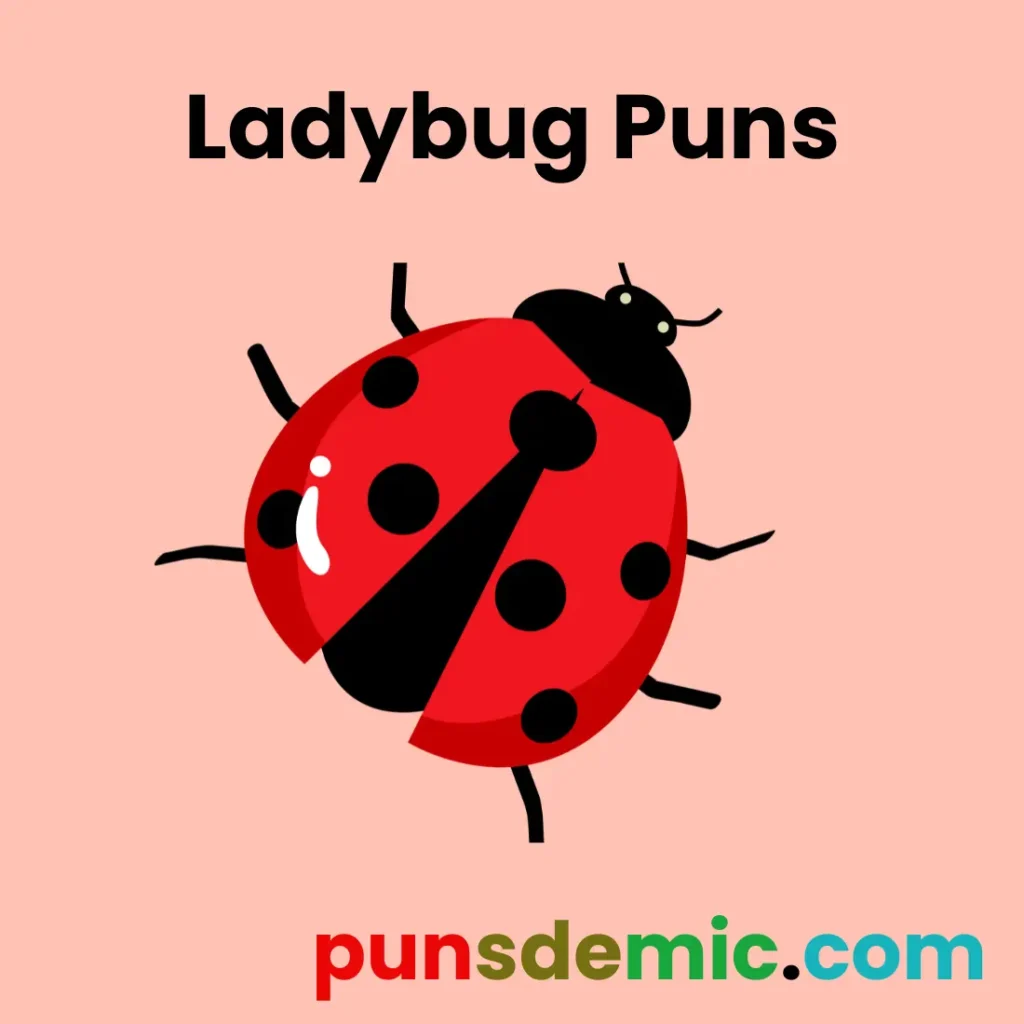 Ladybug Puns