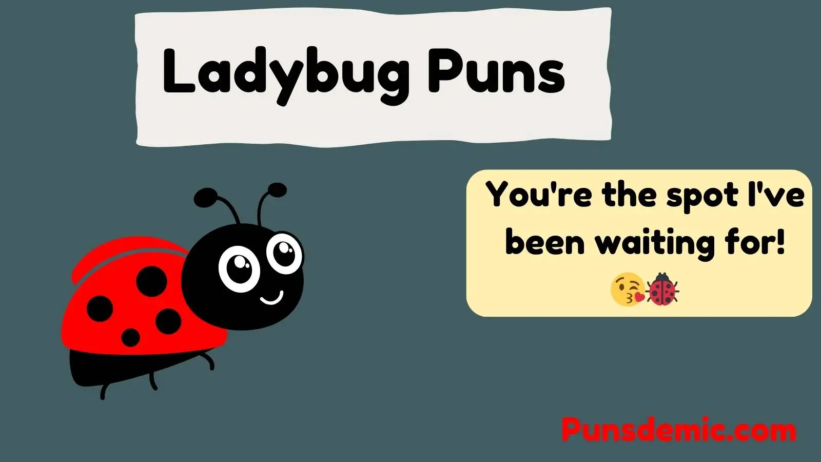 Ladybug Puns