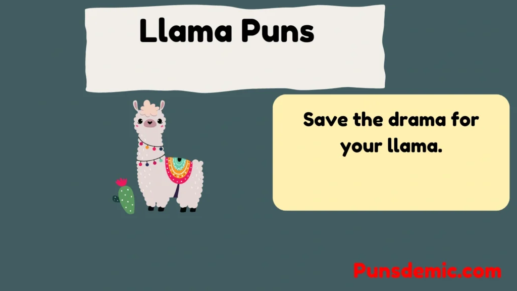 Llama Puns  