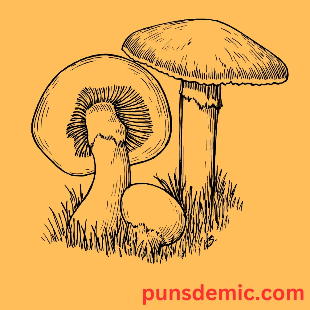Mushroom and Power-Up Puns