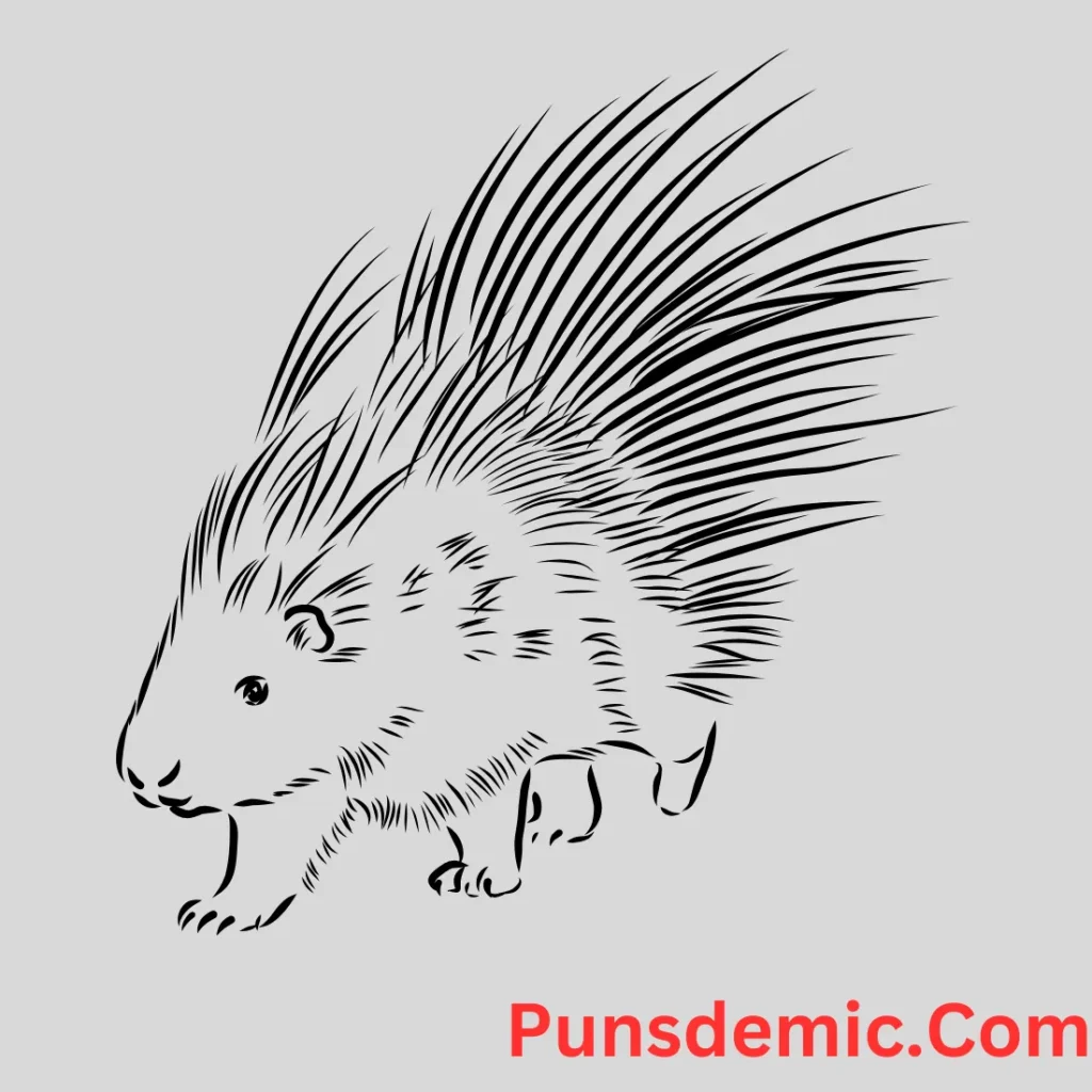 Porcupine Love Puns