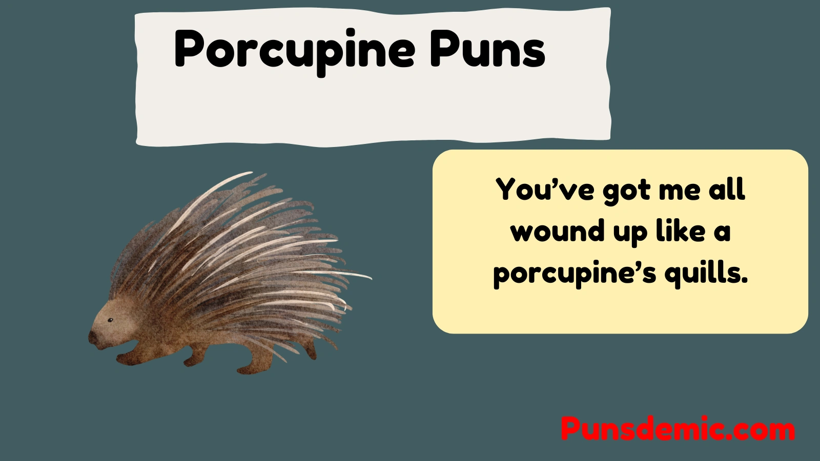Porcupine Puns  
