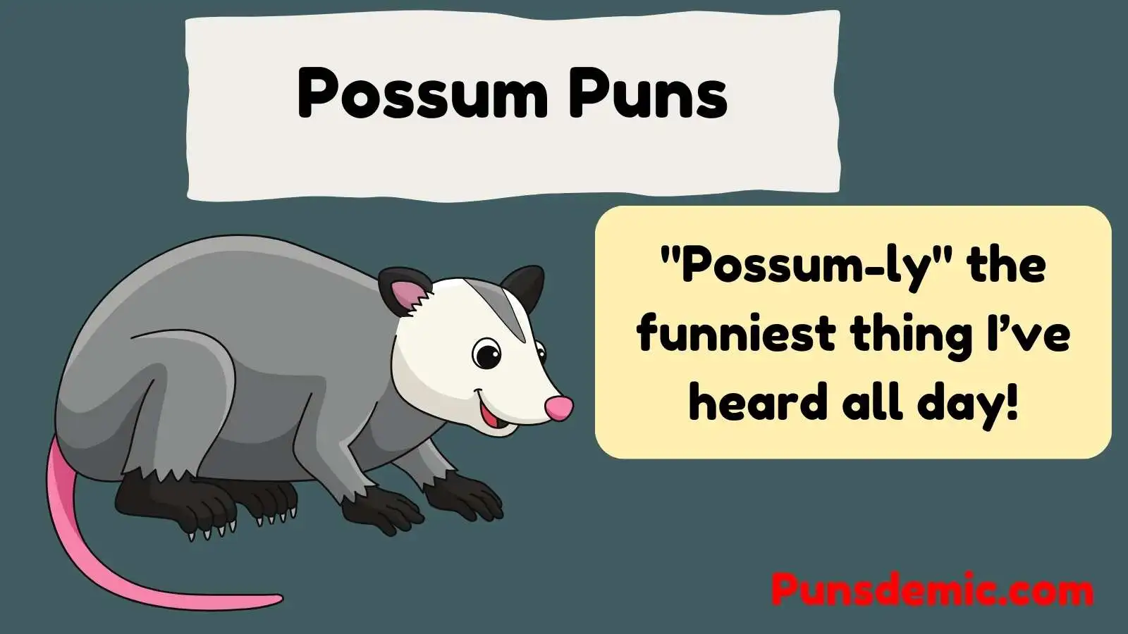 Possum Puns