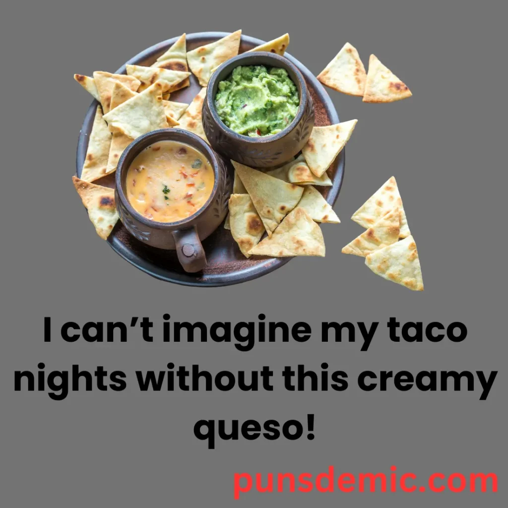 Queso Puns for Tacos and More