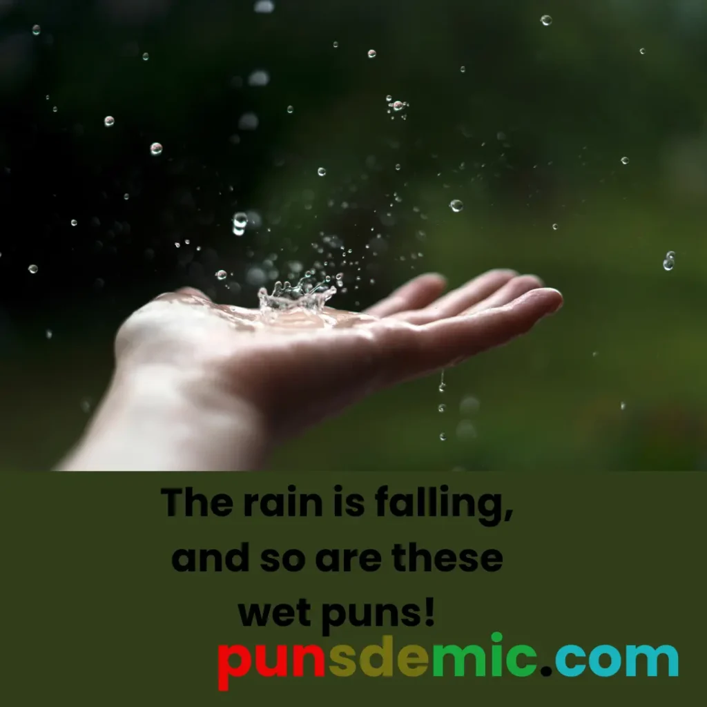 Raindrop Puns