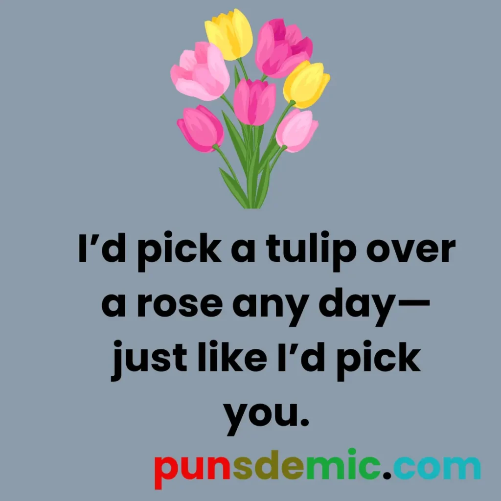 Romantic Tulip