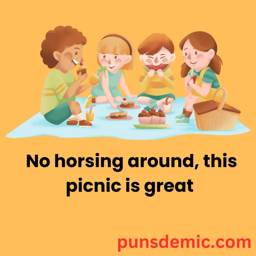 Seasonal Picnic Puns