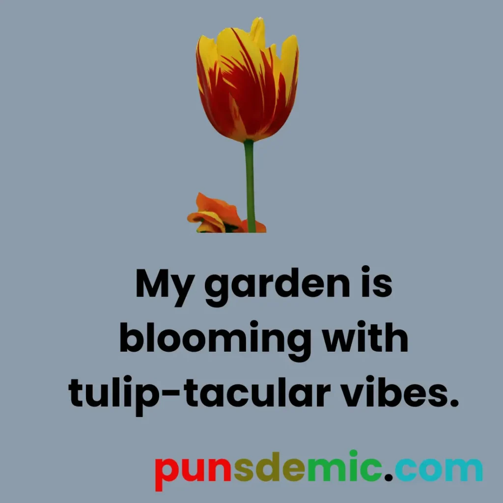 Spring Tulip