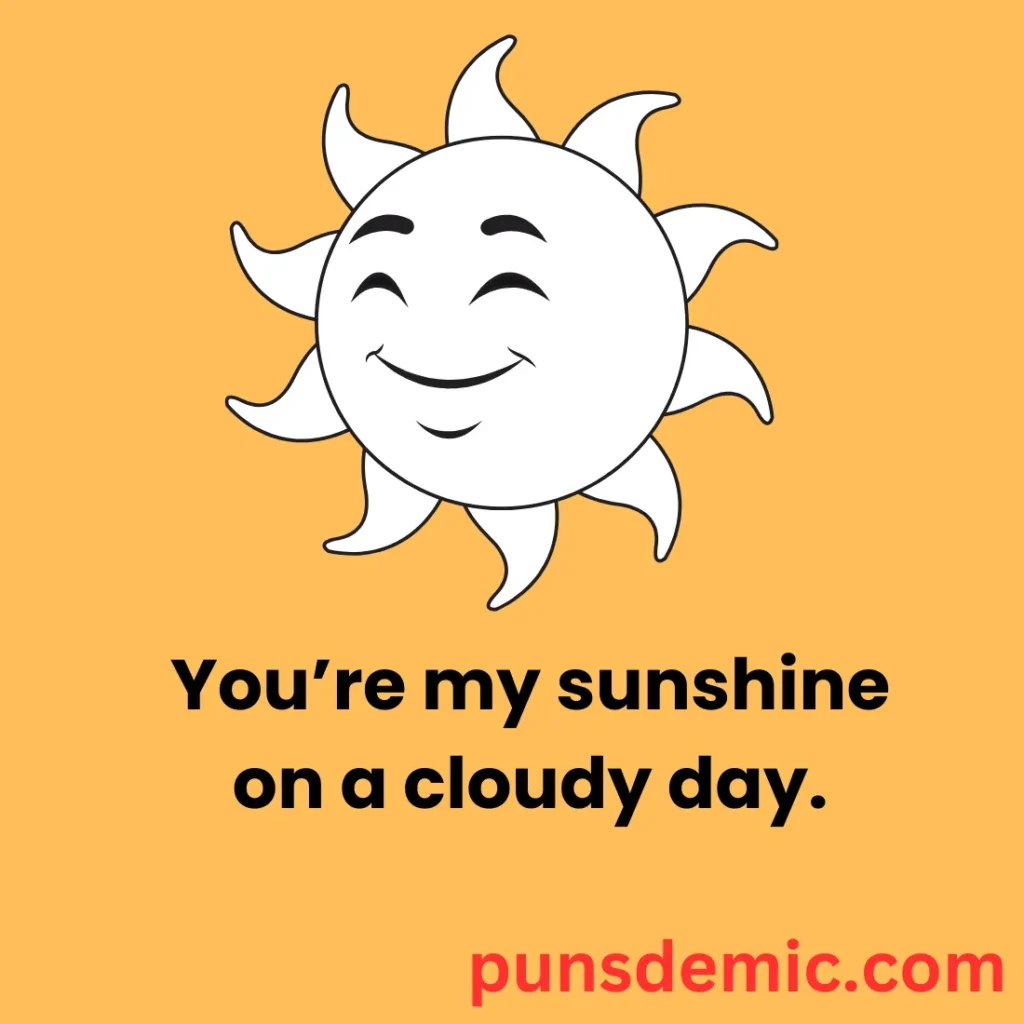 Sunny and Bright Puns 