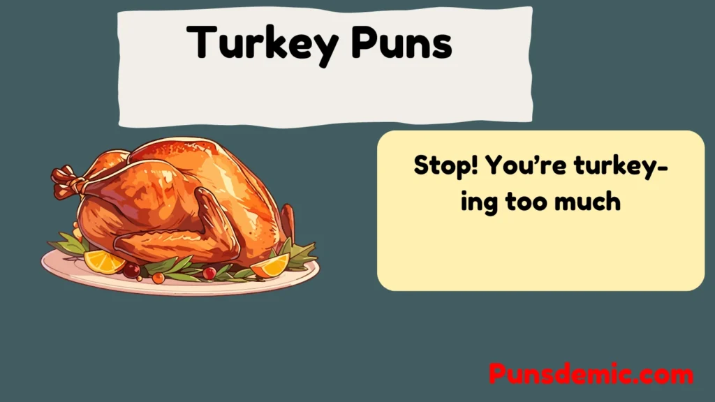 Turkey Puns 