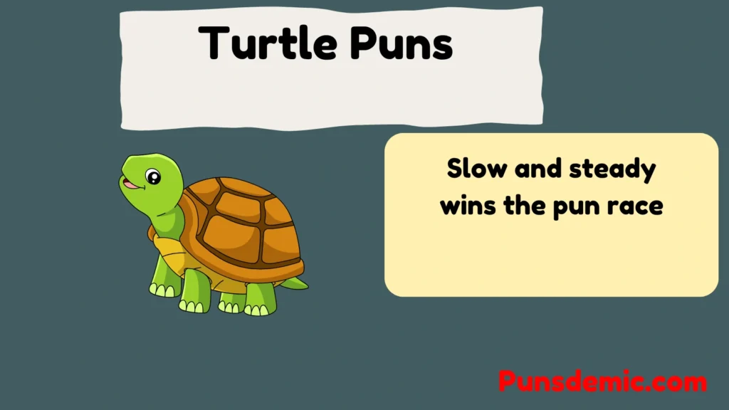 Turtle Puns 