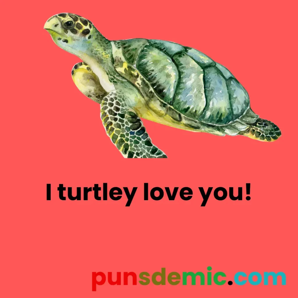 Turtle Puns