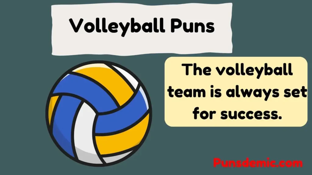 Volleyball Puns