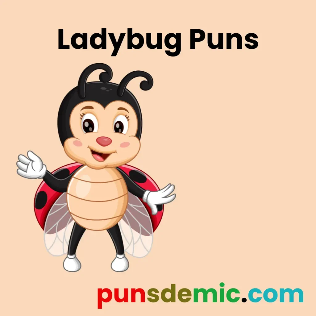 Ladybug Puns