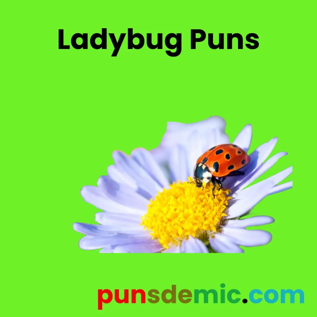 Ladybug Puns