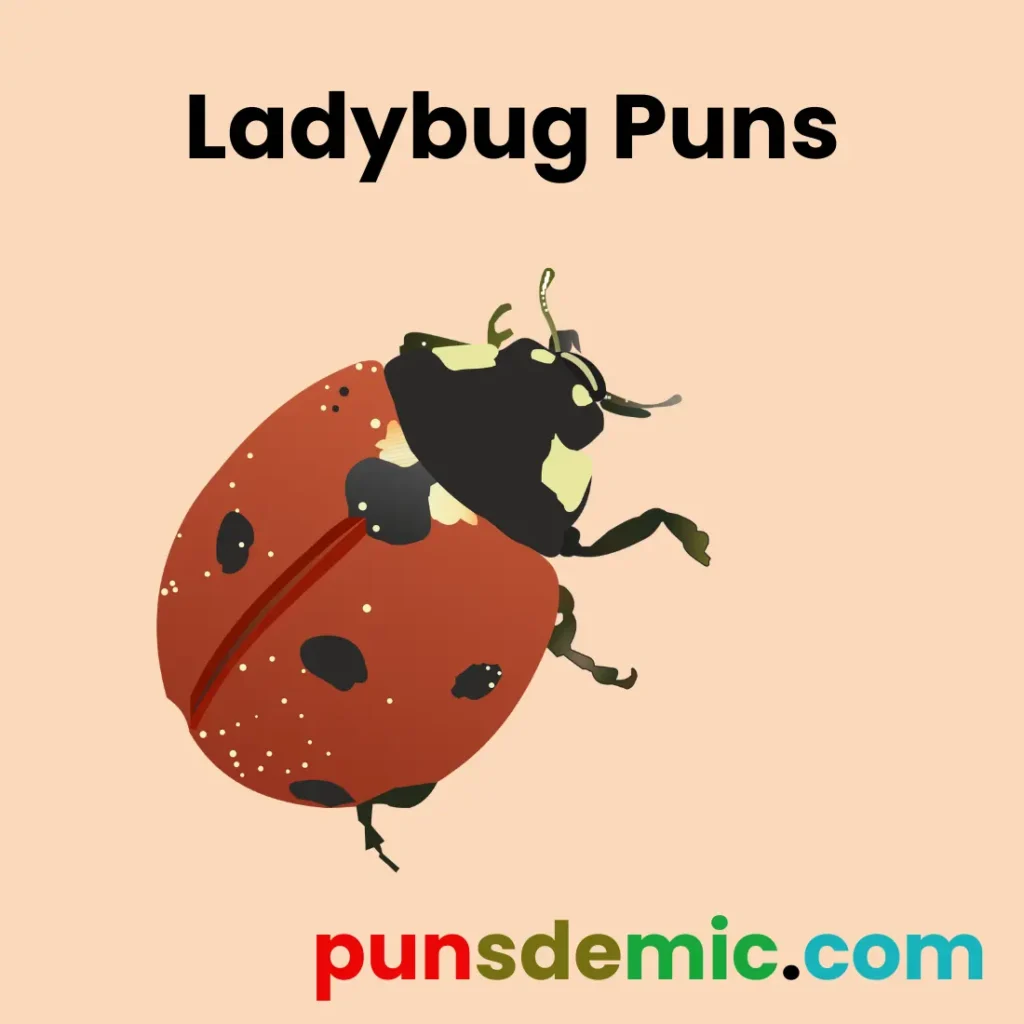 Ladybug Puns
