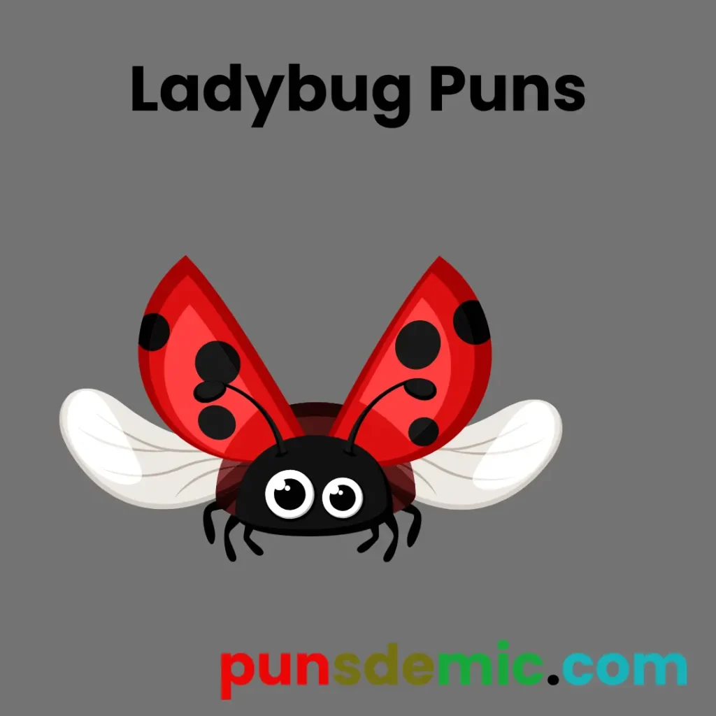 Ladybug Puns