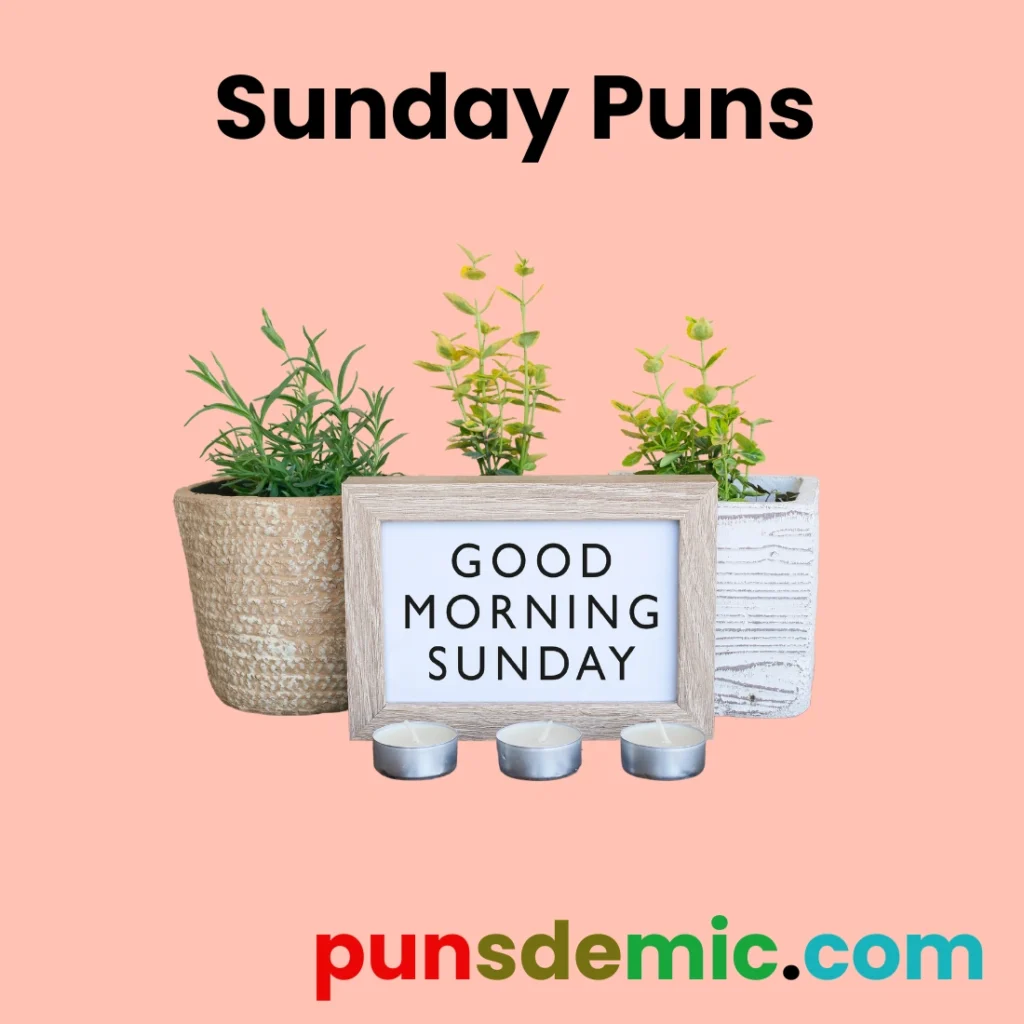 Sunday Puns