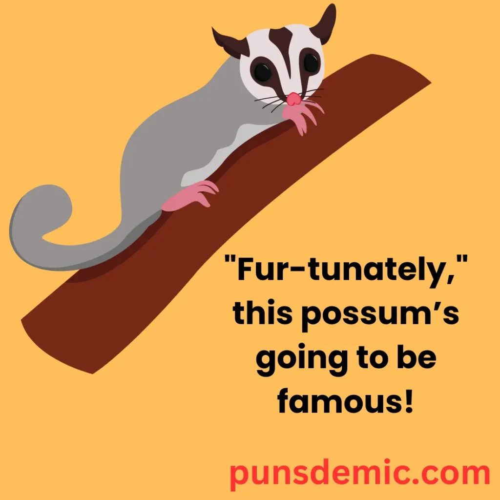 Clever Possum Puns 